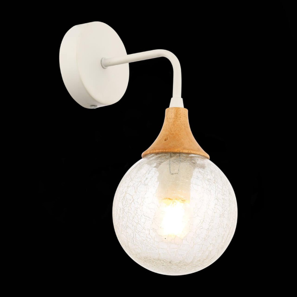 Настенный светильник EVOLUCE LIONE SLE109501-01