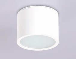 Накладной светильник Ambrella Light IP Protect TN6550
