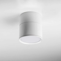Накладной спот Lightstar Acuto 215886