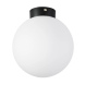 Потолочный светильник Lightstar Globo 812027