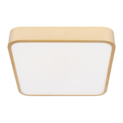 Потолочный светильник Loft IT Flims 10228/C