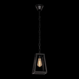 Подвесной светильник LOFT IT Modern filament Loft1127