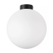 Потолочный светильник Lightstar Globo 812037