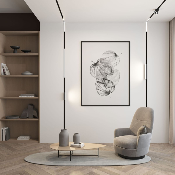 Трековый светодиодный светильник Denkirs DK8003-BK