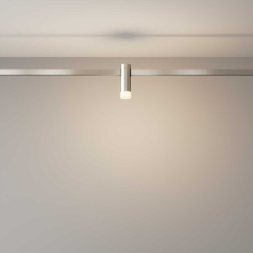 Трековый магнитный светильник Maytoni Skim TR145-1-3W3K-W-PT