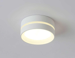 Накладной светильник Ambrella Light IP Protect TN5391