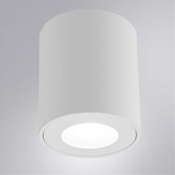 Накладной светильники Arte Lamp Tino A1469PL-1WH