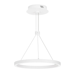 Подвесной светильник Arlight SP-CONGO-CAN-1-R400-24W Warm3000 (WH, 120 deg, 230V) 046212