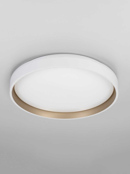 Потолочный светильник Citilux Enzo CL753450G