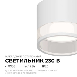 Накладной светильник Apeyron 16-124
