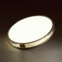 Потолочный светильник Sonex Felice 7722/100L