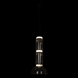 Подвесной светильник Loft IT Noctambule 10192/M