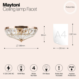 Потолочная люстра Maytoni Facet MOD094CL-04G
