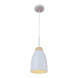 Подвесной светильник LOFT IT Watchman Loft4402A-Wh