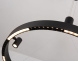 Подвесная люстра Ambrella Light Comfort FL5845