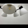 Люстра на штанге Lumion Wilma 4535/8C