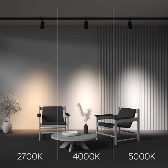 Трековый трехфазный светильник Maytoni Focus Led TR197-3-30WCCT-M-B