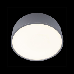 Потолочный светильник Loft IT Axel 10201/350 Grey