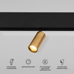 Магнитный трековый светильник Elektrostandard Slim Magnetic Dim Cantors 5W 2700-6500K латунь 4690389195303 a063531