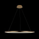 Подвесной светодиодный светильник Loft IT Ring 10014XL