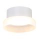 Потолочный светильник Feron Opal HL460 51682