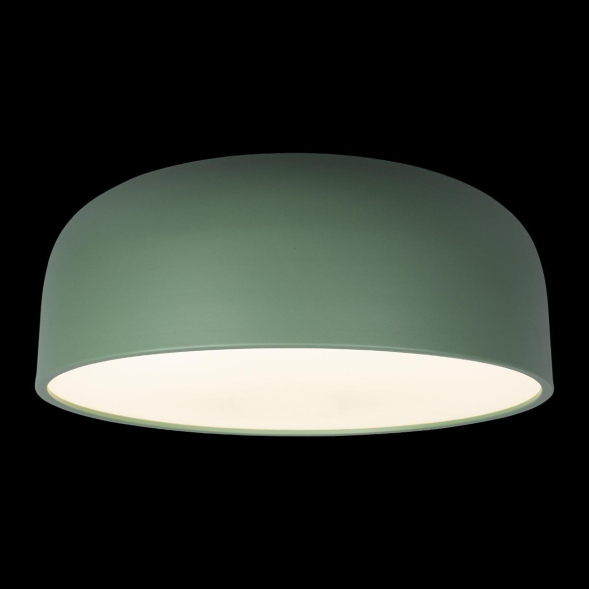 Потолочный светильник Loft IT Axel 10201/480 Green