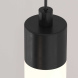 Подвесной светодиодный светильник Maytoni Technical Ray P022PL-L20B3K