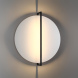 Настенно-потолочный светильник Odeon Light Lunar 7015/20WL