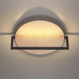 Настенно-потолочный светильник Odeon Light Lunar 7016/20WL