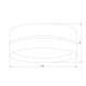Потолочный светильник TK Lighting 6548 Paglia Black