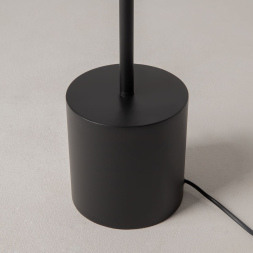 Торшер Maytoni Evolution MOD396FL-L10W3K