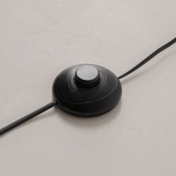 Торшер Maytoni Evolution MOD396FL-L10W3K