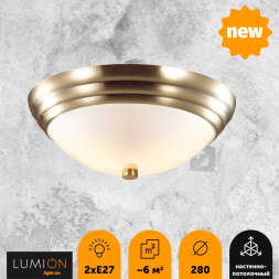 Настенно-потолочный светильник Lumion Vintage 5262/2C