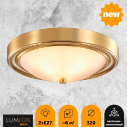 Настенно-потолочный светильник Lumion Vintage 5259/2C