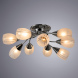 Потолочная люстра ARTE Lamp A2701PL-9CC