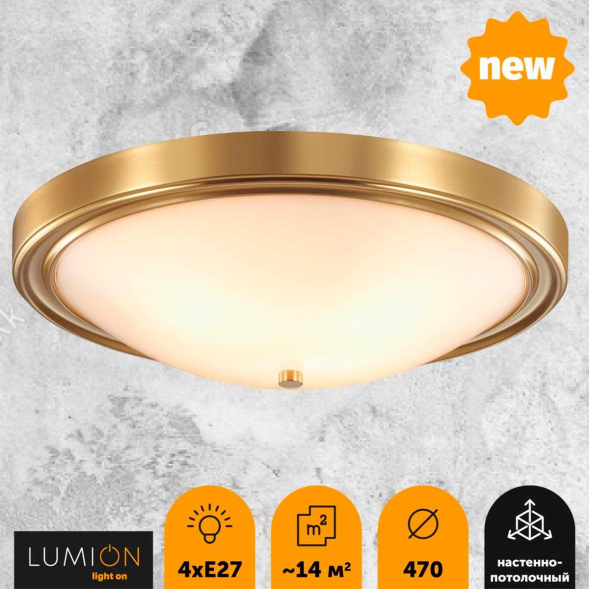 Настенно-потолочный светильник Lumion Vintage 5259/4C