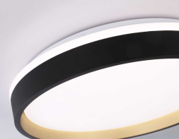 Потолочный светильник Ambrella Light Orbital Dance FZ604