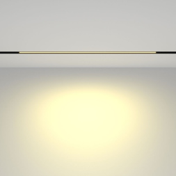 Трековый магнитный светильник Maytoni Basis TR030-2-24W2.7K-B