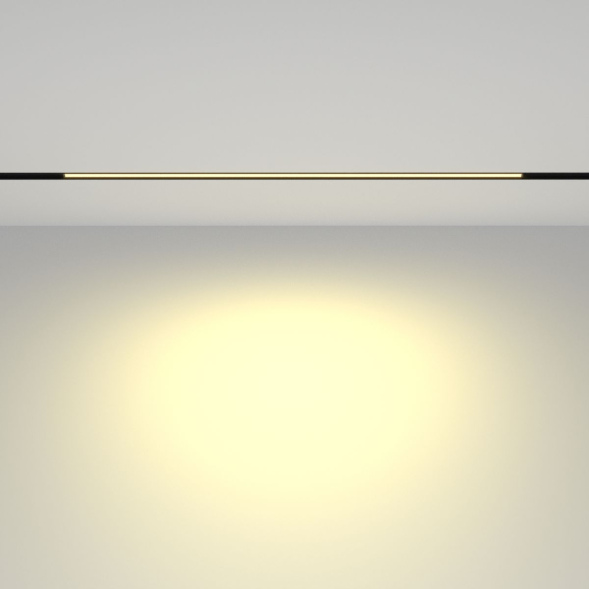 Трековый магнитный светильник Maytoni Basis TR030-2-24W2.7K-B