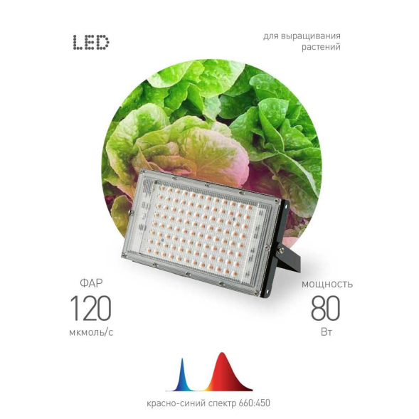 Фитопрожектор для растений Эра FITO-80W-RB-LED-Y Б0053082