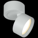 Накладной спот Reluce 53168-9.5-001MZ GX53 WT