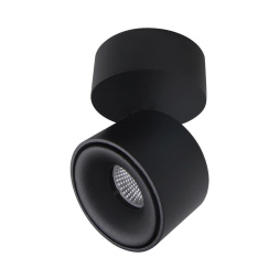 Спот Citilux CL558011N