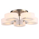 Накладная люстра ST-Luce SL483.352.05
