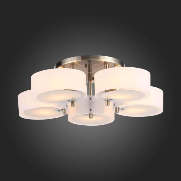 Накладная люстра ST-Luce SL483.352.05