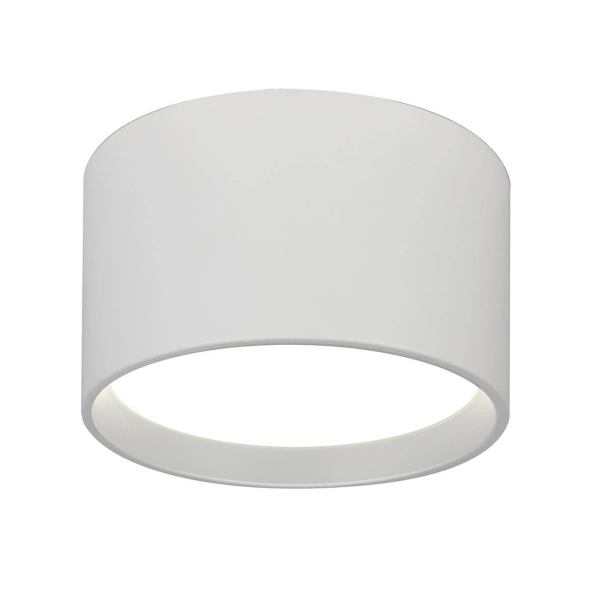 Потолочный светильник Escada 20005SMU/02LED SWH