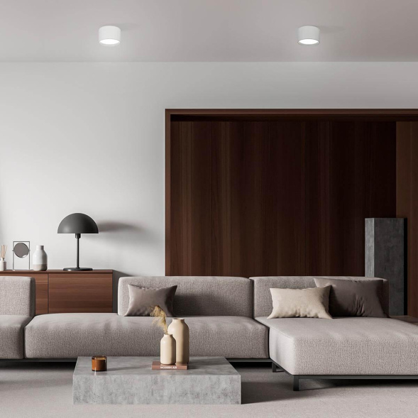 Потолочный светильник Escada 20005SMU/02LED SWH