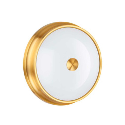 Потолочный светильник Odeon Light 4824/3C