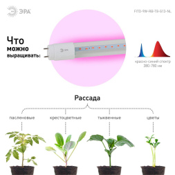 Фитолампа для растений светодиодная ЭРА G13 9W 1200K FITO-9W-RB-Т8-G13-NL Б0042986