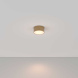 Потолочный светильник Maytoni Technical Ceiling&amp;Wall Zon C032CL-12W3K-RD-MG