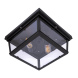 Потолочный светильник LOFT IT Modern filament Loft3110-2C